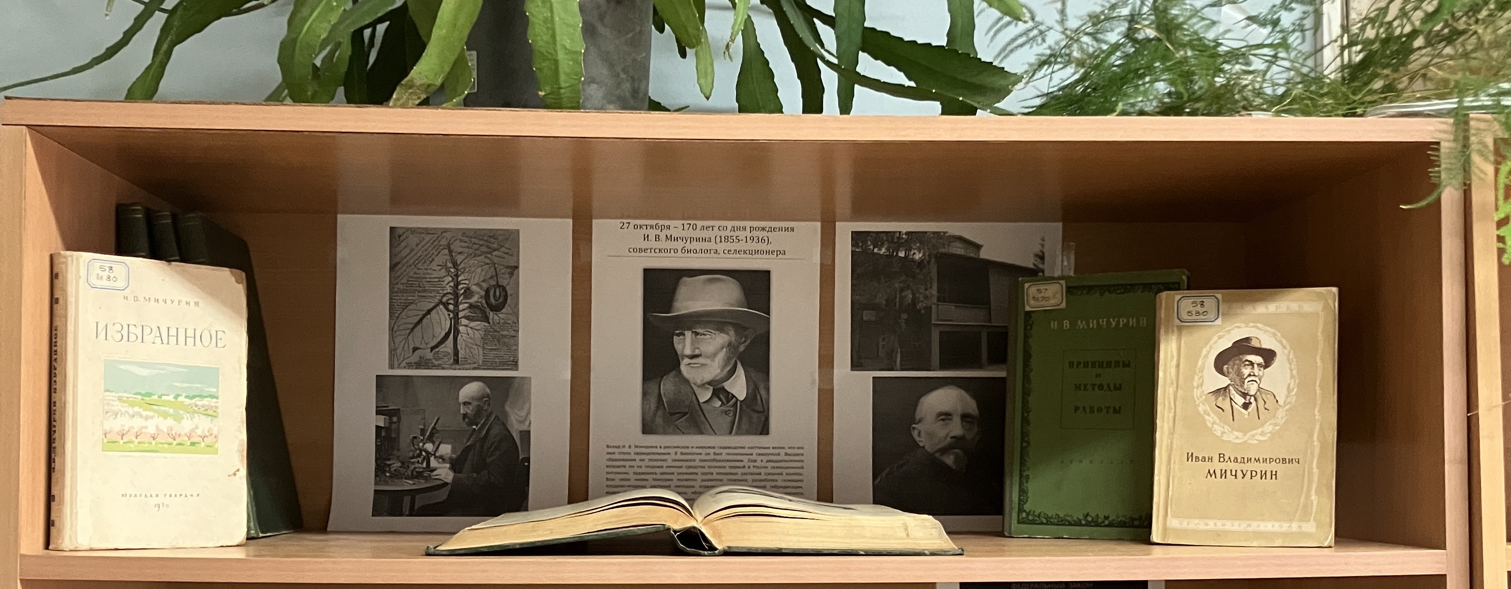 Мичурин И.В. 170 лет